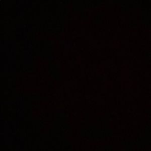 Meet your Posher, Jennie